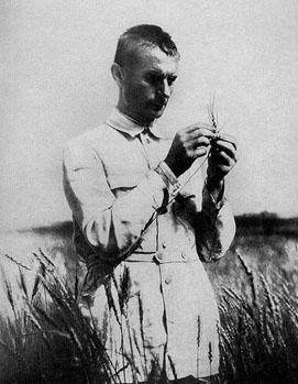 Lysenko2